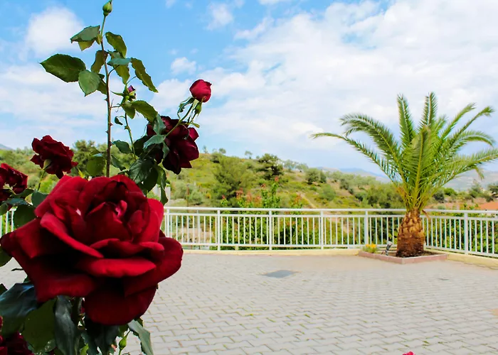 Diamond Лименария