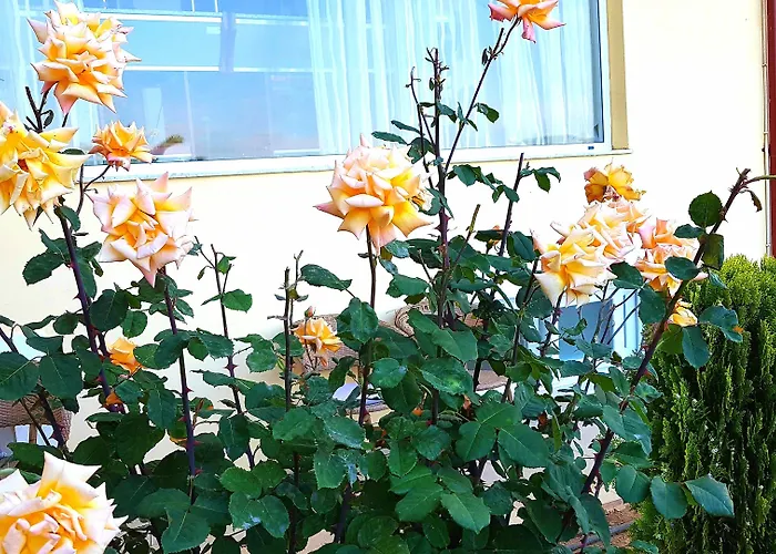 Отель Diamond Лименария